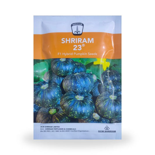 DCM Shriram No. 23 F1 Hybrid Pumpkin Seeds