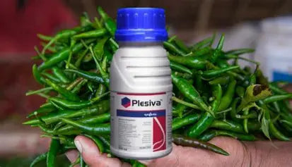 किन्स्टा २०० एससी (क्लोरँट्रानिलिप्रोल १८.५% एससी) कीटकनाशक