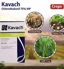 Syngenta Kavach  (Chlorothalonil 75% WP) for Fungal Disease Control