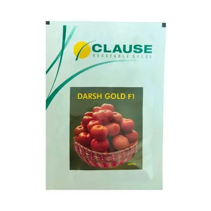 HM Clause Darsh Gold F1 Hybrid Tomato Seeds 10gm