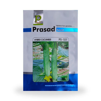 Prasad Seed PS-101 Hybrid Cucumber Seeds 10gm