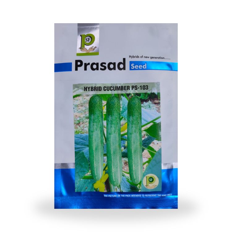 Prasad Seed PS-103 Hybrid Cucumber Seeds 10gm