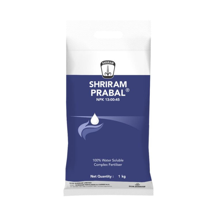 DCM Shriram Prabal NPK (13:00:45) Foliar Nutrient