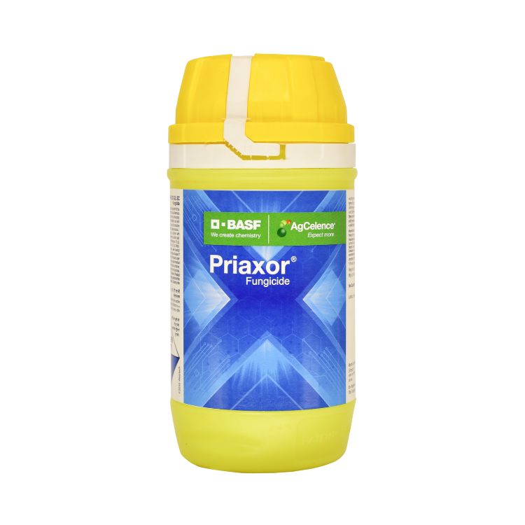 BASF Priaxor (Fluxapyroxad 167 G/L + Pyraclostrobin 333 G/L SC) Fungicide