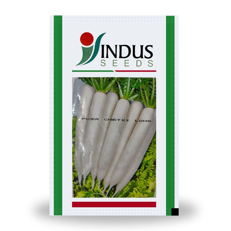 Indus Pusa Chetki Long Radish Seeds