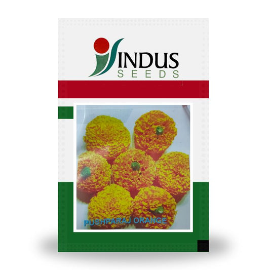 Indus Pushparaj Orange F1 Hybrid Marigold Seeds