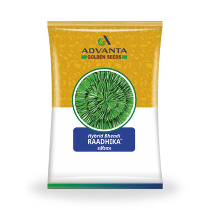 Advanta Golden Seeds Raadhika Hybrid Bhendi Seeds