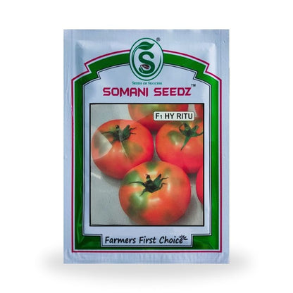 Somani Seedz Ritu Tomato F1 Hybrid Seed 10 gm