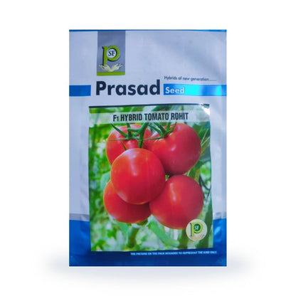 Prasad Seed Rohit Hybrid Tomato Seeds 10 gm