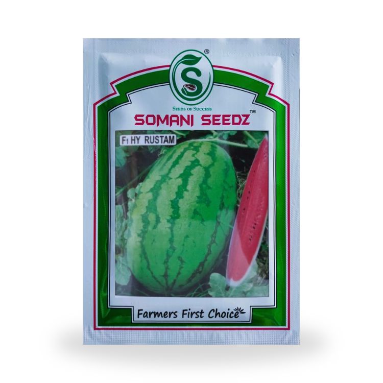 Somani Seedz Rustam Water Melon F1 Hybrid Seed 10 gm