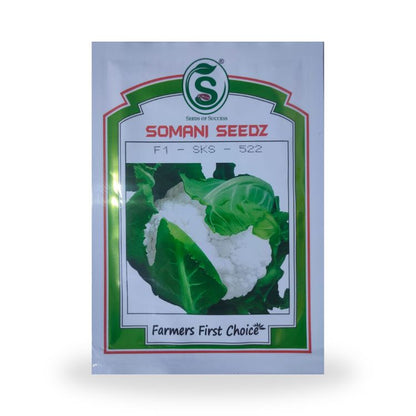 Somani Seedz SKS-522 Cauliflower Hybrid Seed 10 gm