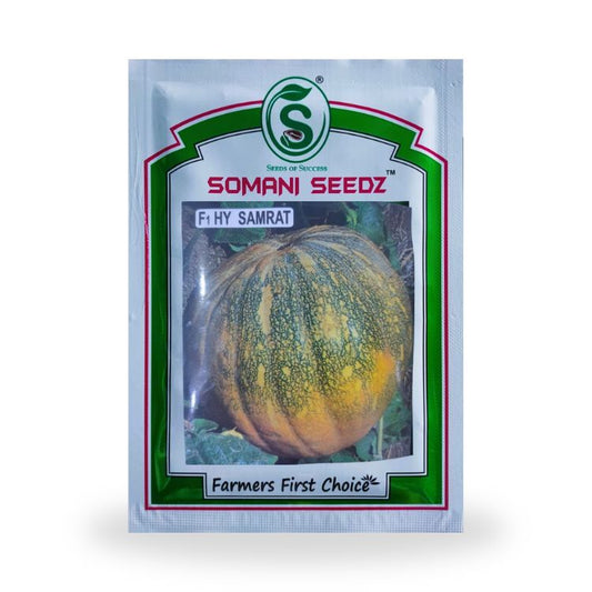 Somani Seedz Samrat Pumpkin F1 Hybrid Seed