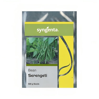 Syngenta Serengeti Bean Seeds 500 gm