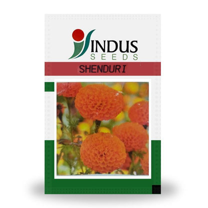 indus flower seeds Indus Shenduri F1 Hybrid Marigold Seeds – Cultree India