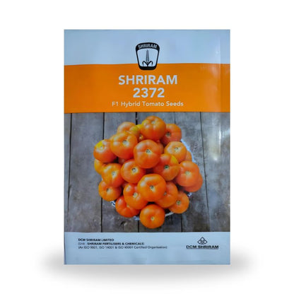 DCM Shriram 2372 F1 Hybrid Tomato Seeds