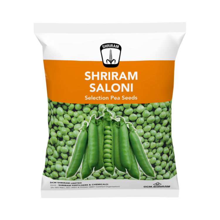 DCM Shriram Saloni Pea Seeds