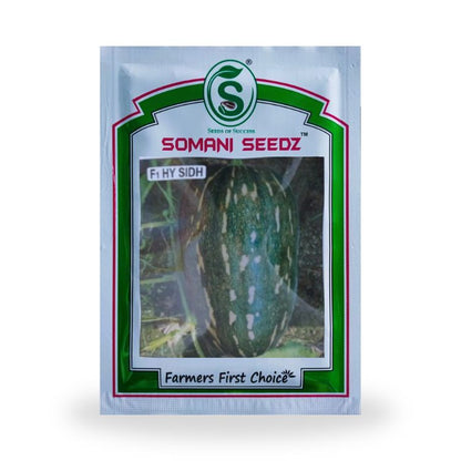 Somani Seedz Sidh Pumpkin F1 Hybrid Seed