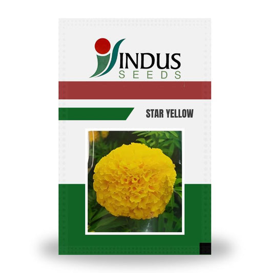 Indus Star Yellow F1 Hybrid Marigold Seeds