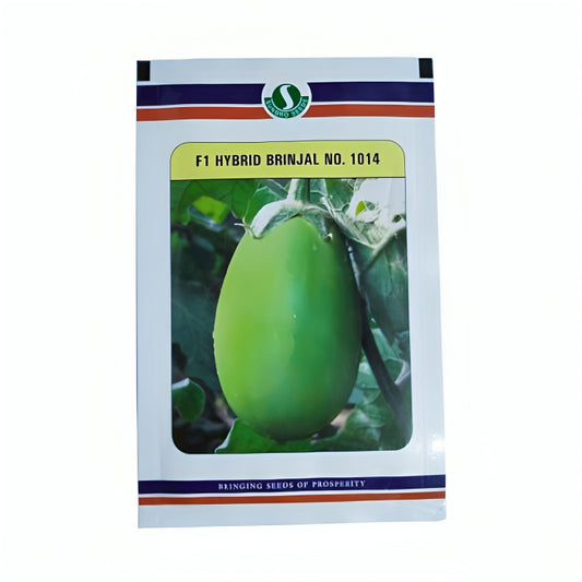 Sungro No. 1014 Brinjal F1 Hybrid Seed