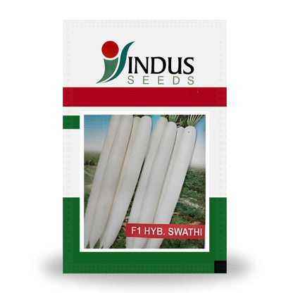 Indus Swathi F1 Hybrid Radish Seeds