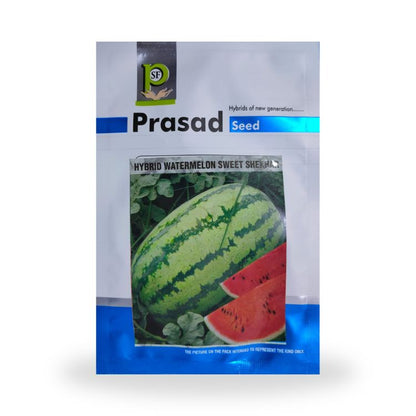Prasad Seed Sweet Shekhar Hybrid Watermelon Seeds 10gm