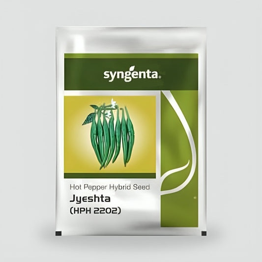 Syngenta Jyeshta (HPH 2202) Hot Pepper Hybrid Seeds 1500SD