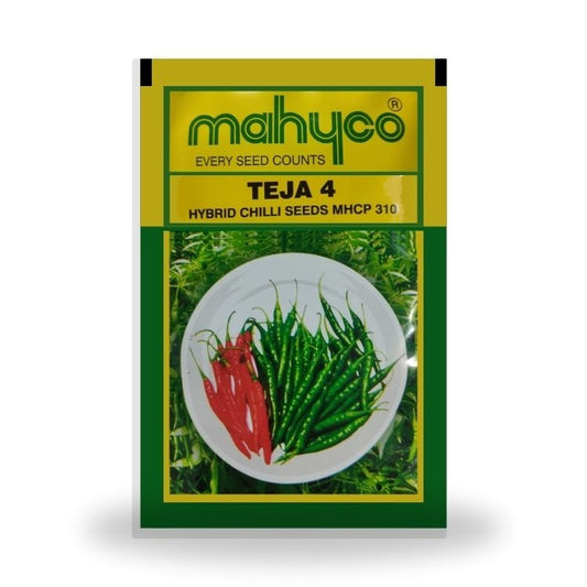 Mahyco Teja 4 (MHCP-310) Hybrid Chilli Seeds