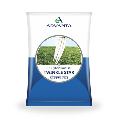 Advanta Seeds TWINKLE STAR F1 Hybrid Radish Seeds