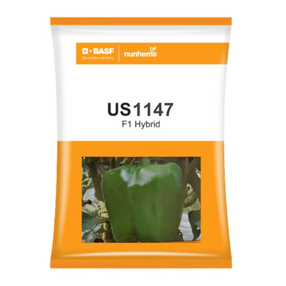 BASF nunhems US 1147 F1 Hybrid Sweet Pepper Seeds