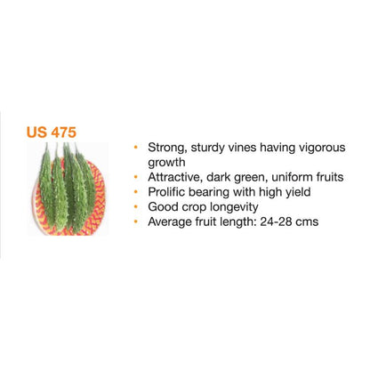 BASF nunhems US 475 F1 Hybrid Bitter Gourd Seeds