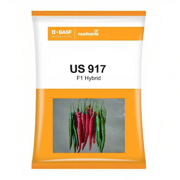 BASF nunhems US 917 F1 Hybrid Hot Pepper Seeds