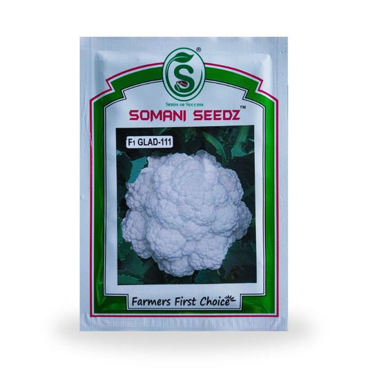 Somani Seedz GLAD-111 Cauliflower Hybrid Seed 10 gm