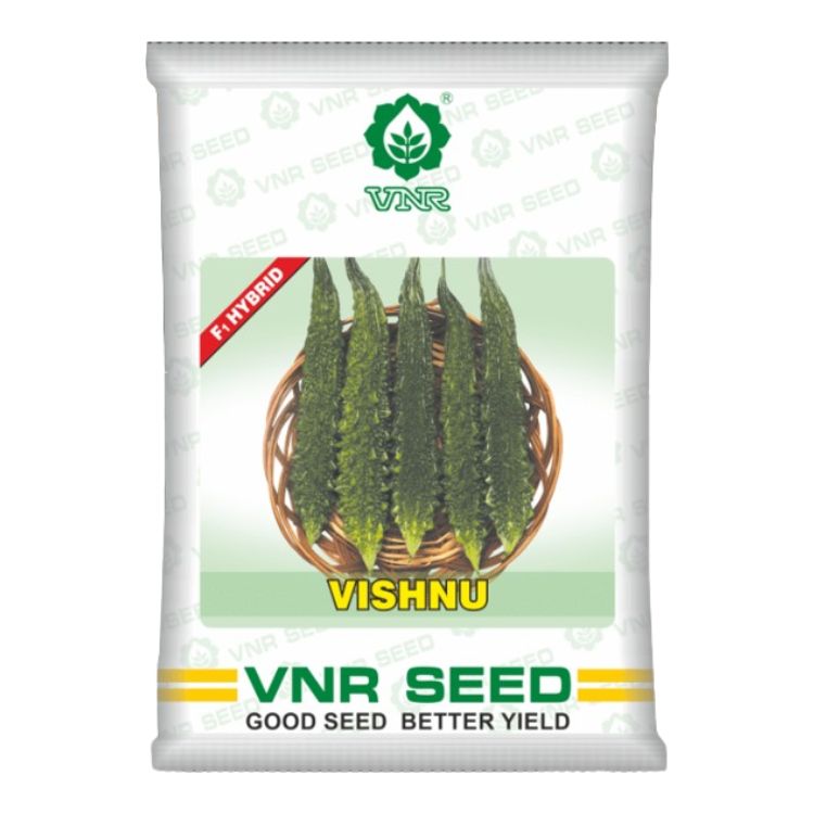 VNR Vishnu Bitter Gourd Hybrid Seeds 50 Gm