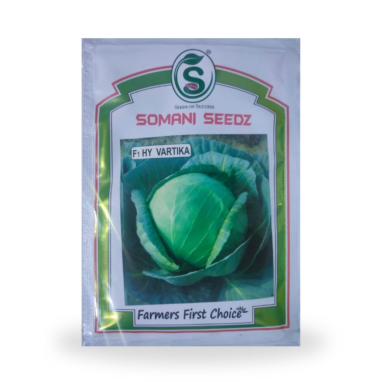 Somani Seedz Vartika Cabbage F1 Hybrid Seed 10 gm