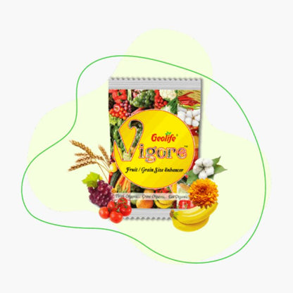 Geolife Vigore Fruit Quality & Size Enhancer