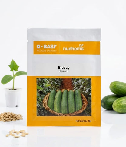 BASF nunhems Blessy F1 Hybrid Cucumber Seeds