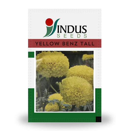 Indus Yellow Benz Tall F1 Hybrid Marigold Seeds