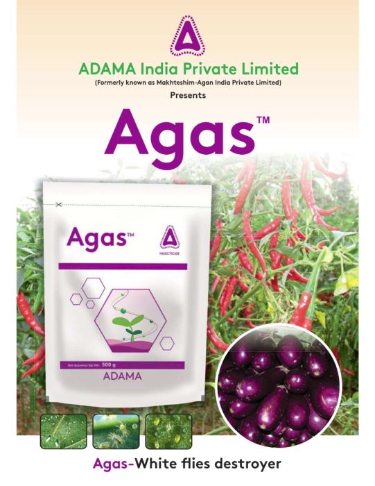 Agas Insect Adama Agas (Diafenthiuron 50% WP) Insecticide – Cultree India