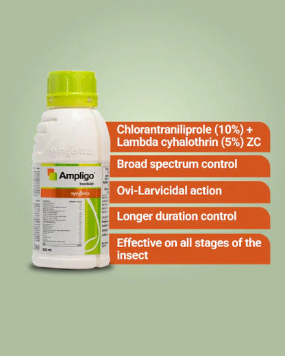Syngenta Ampligo  ( Chlorantraniliprole 9.3% + Lambda cyhalothrin 4.6% ZC ) Insecticide