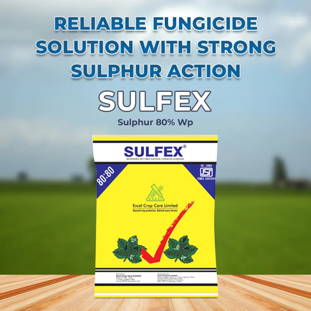 Excel Sulfex Sulphur 80% Wp Fungicide