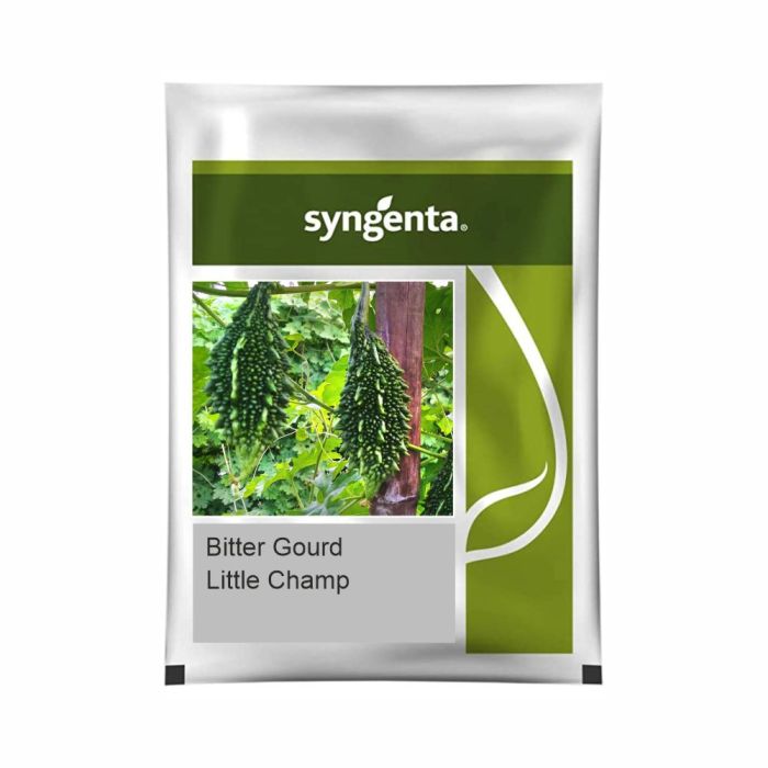 Syngenta Little Champ Bitter Gourd Hybrid Seeds 500 SD