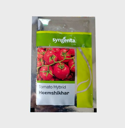 Syngenta Heemshikhar Tomato Hybrid Seeds 4000SD