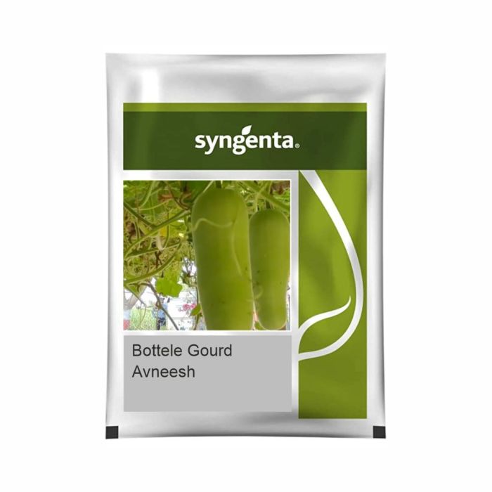 Syngenta Avneesh Bottle Gourd Hybrid Seeds 50 Gm