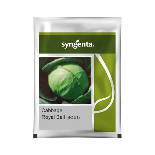 Syngenta Royal Ball (BC-51) Cabbage Hybrid Seeds 2000SD