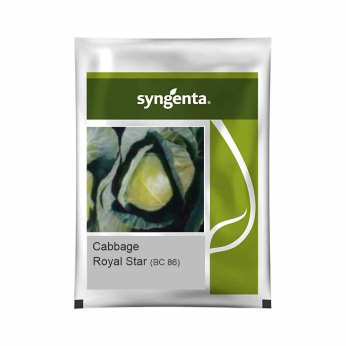 Syngenta Royal Star (BC-86) Cabbage Hybrid Seeds 2000SD