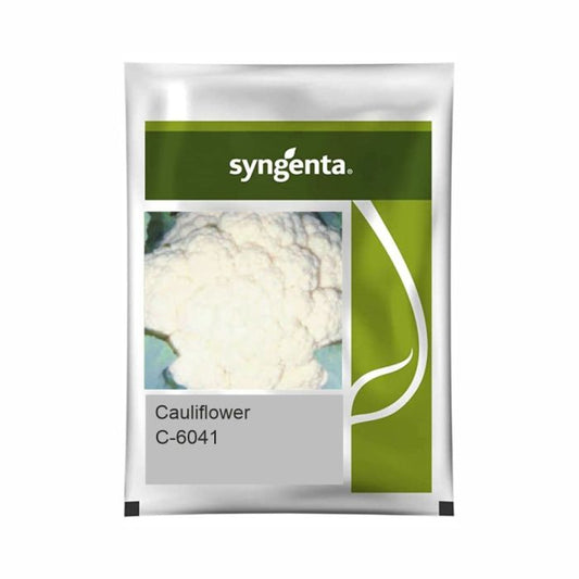 Syngenta C-6041 Cauliflower Hybrid Seeds 2000SD