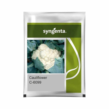 Syngenta C-6099 Cauliflower Hybrid Seeds 2000SD