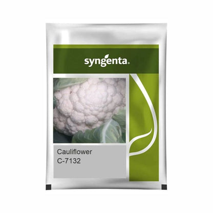 Syngenta C-7132 Cauliflower Hybrid Seeds 2000SD