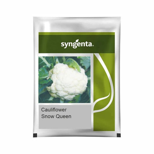 Syngenta Snow Queen Cauliflower Hybrid Seeds 2000SD