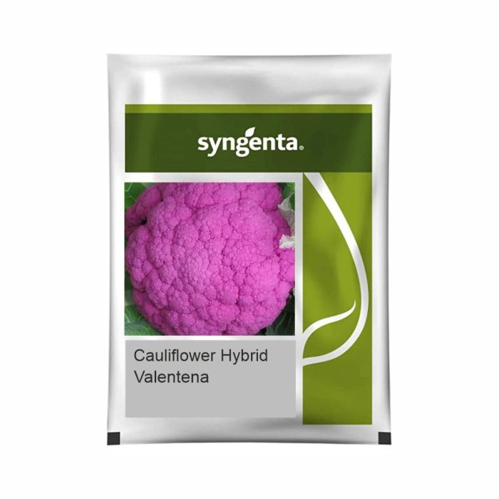 Syngenta Valentena Cauliflower Hybrid Seeds